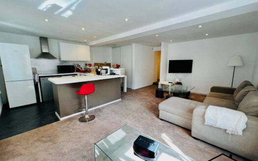 Appartmeent 3 piéces quartier des Halles