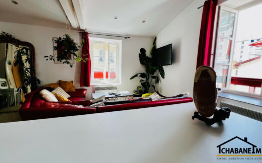 Appartmeent 3 piéces quartier des Halles