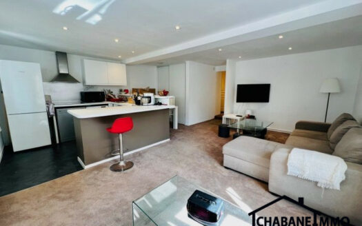 Appartmeent 3 piéces quartier des Halles