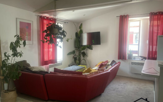 Appartmeent 3 piéces quartier des Halles