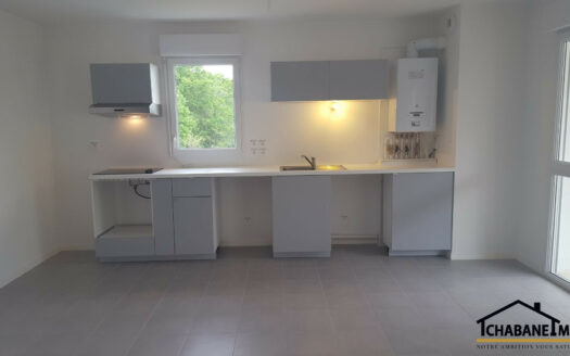 Appartement T4 Briscous