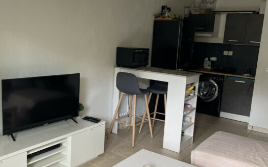 Deux pieces parfait état , terrasse , jardinet, parking .