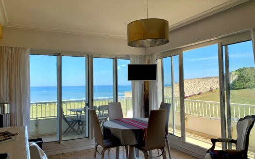 T2 BIARRITZ AVEC TERRASSE VUE OCEAN